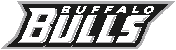 Buffalo Bulls 2007-Pres Wordmark Logo iron on transfers for fabric